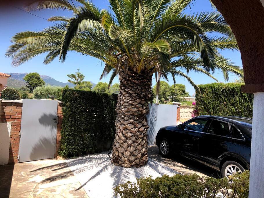 Villa Climatisee Bord De Mer Avec Piscine Privee Miami Playa Exterior foto